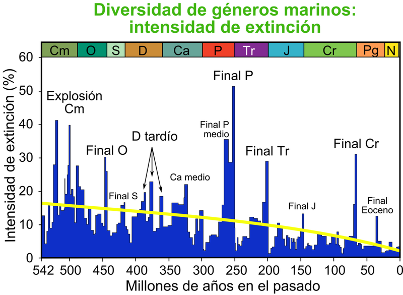 Intensidad aparente en la extinción de géneros marinos (no especies). Wikimedia Commons